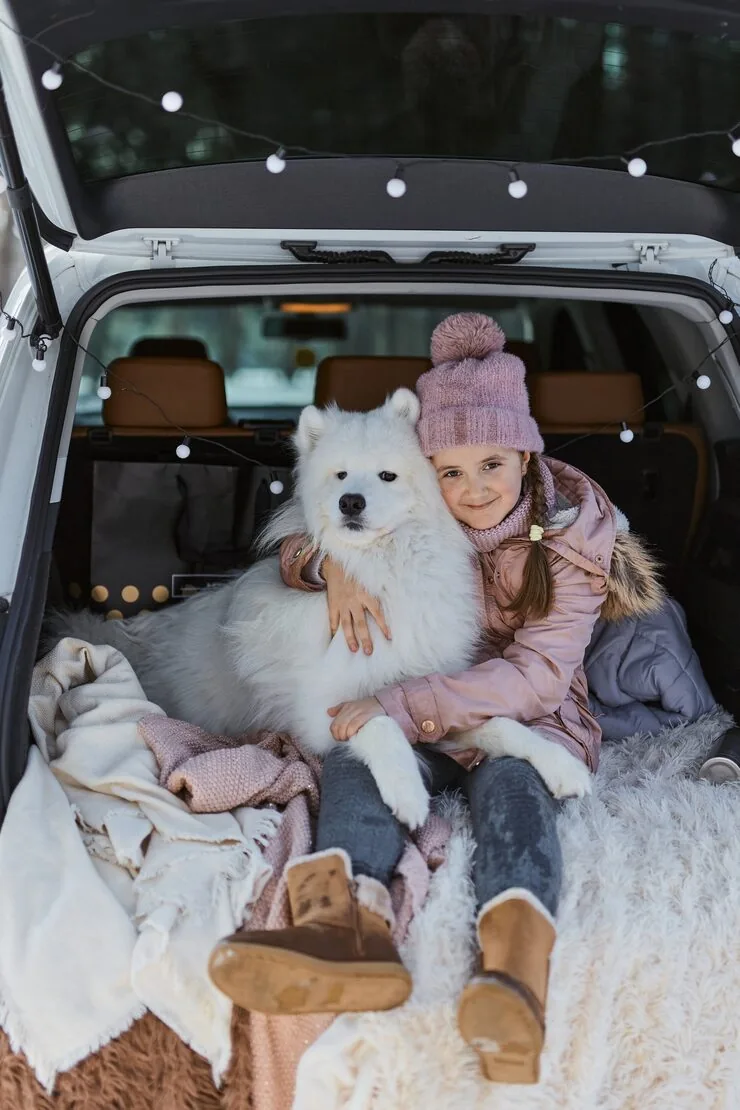 International Company Pet Relocation Services in the UK