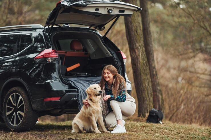 International Pet Import Documentation Management