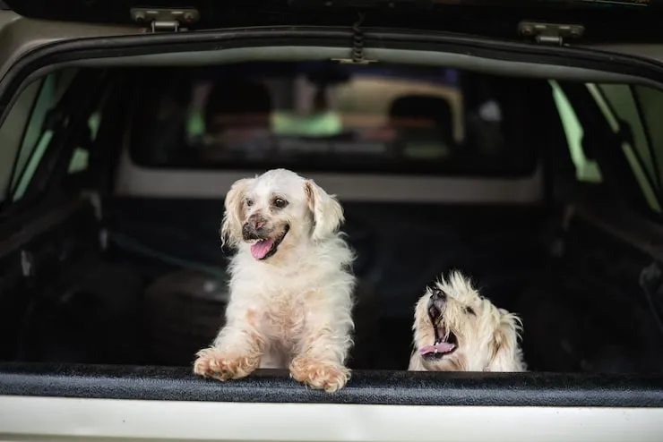 Jordan Import Compliance Management