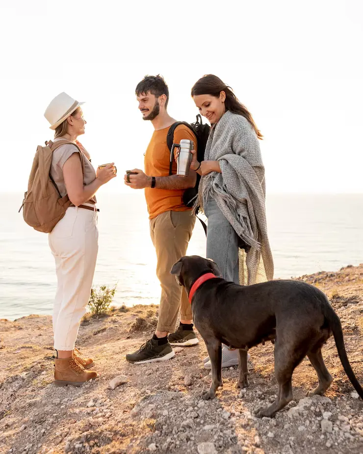 Liverpool Pet Courier Services for Public Figures & Touring Artists