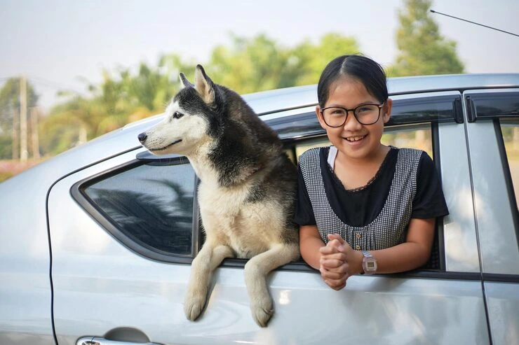 Long-Distance Pet Courier Handling