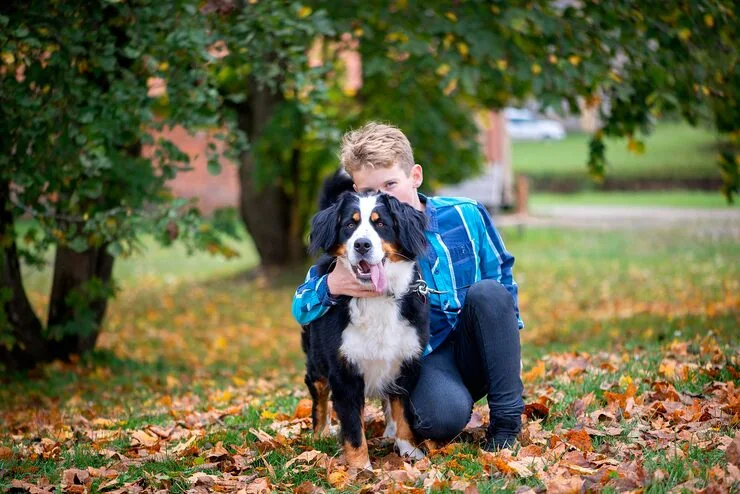 Multi-Pet Household Weekend Transport