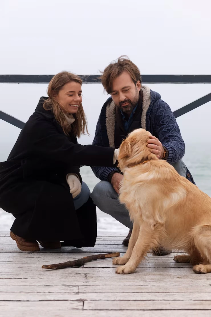 Multi-Pet Relocation UK To Venice Planning