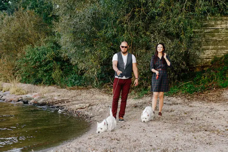 Multi-Pet and Family Relocation Coordination​