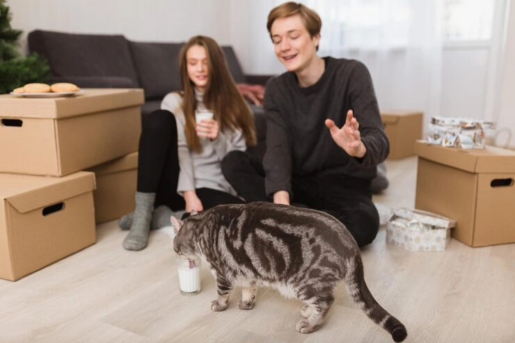 Multi-Pet and Family Relocation Planning​