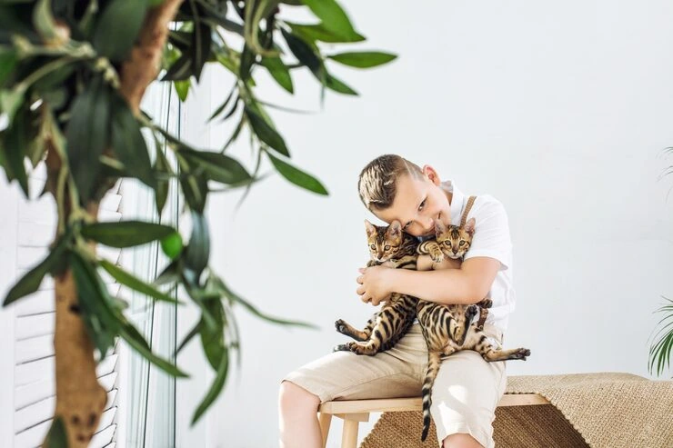 Ongoing Case Oversight