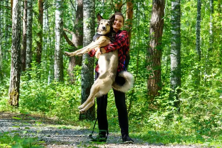 Ongoing Communication and Case Oversight