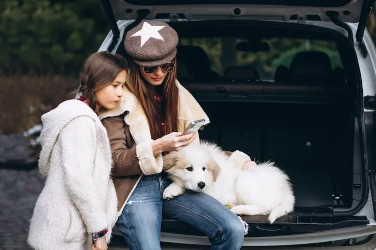 Ongoing Communication and Owner Support