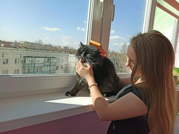 Ongoing Communication and Travel Oversight