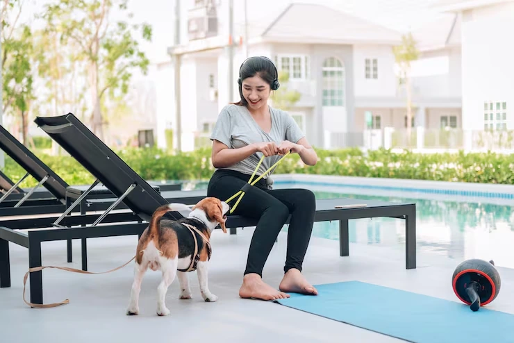 Ongoing Owner Guidance and Timeline Oversight