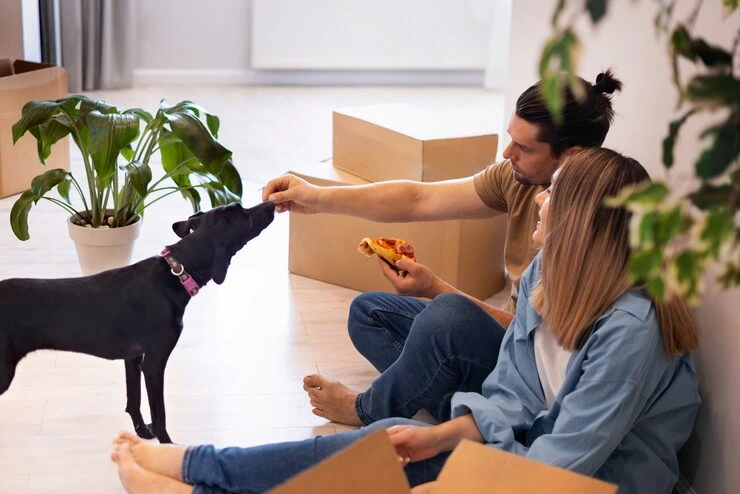 Our-Services-Pet-Relocation-Services