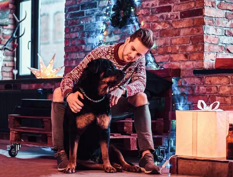 Our Services for VIP Pet Concierge Services in Edinburgh