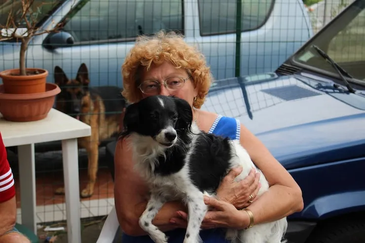 Owner Communication and Journey Updates