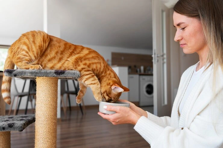 Pet Courier Services for Breeders and Sellers