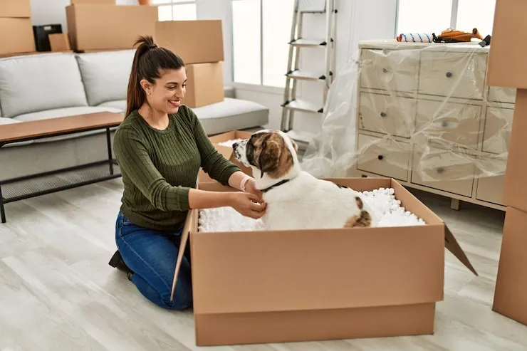 Pet Relocation Services From Birmingham to Doha