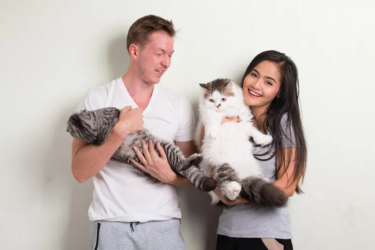 Pet Relocation Services From the UK to Amman