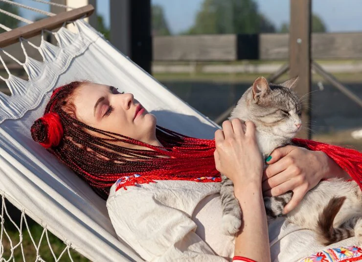 Pet Relocation Services From the UK to Houston