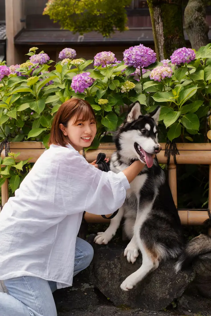 Pet Relocation Services From the UK to Philadelphia