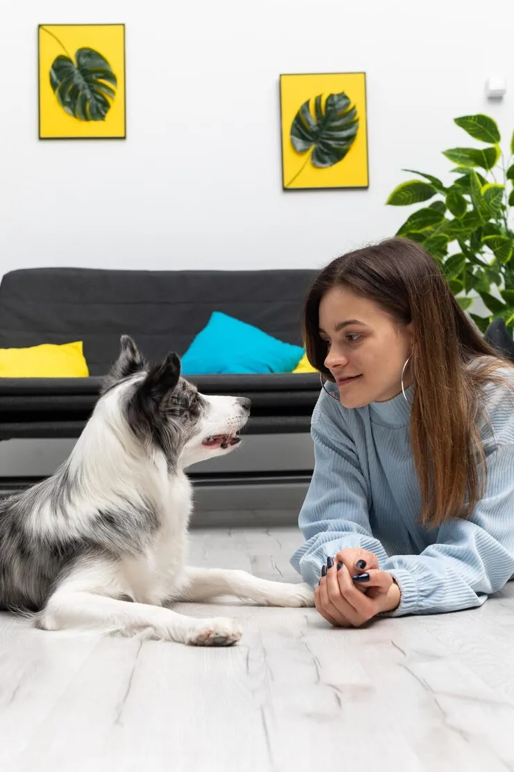 Pet Transport Services From Edinburgh to Vancouver