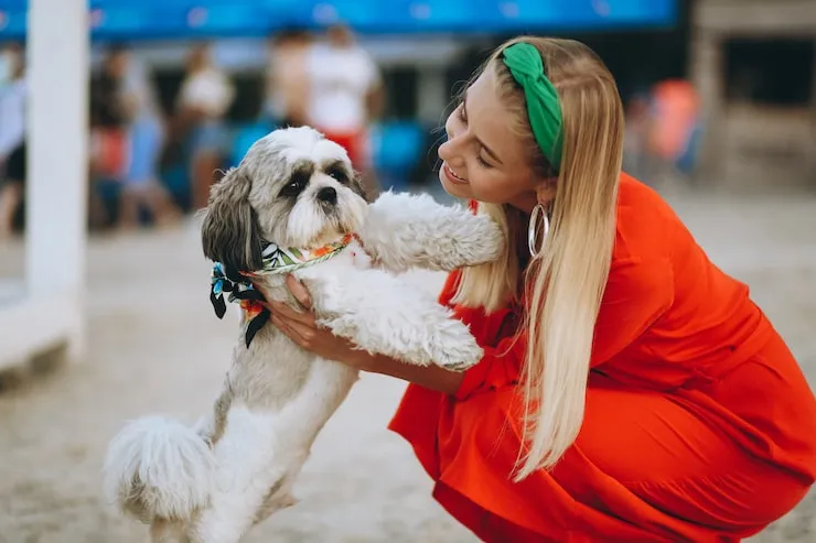 Pet Transport Services From Vietnam to the UK