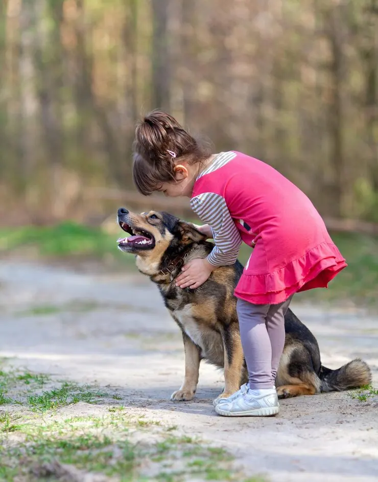 Pet Transport Services From the UK to Adelaide