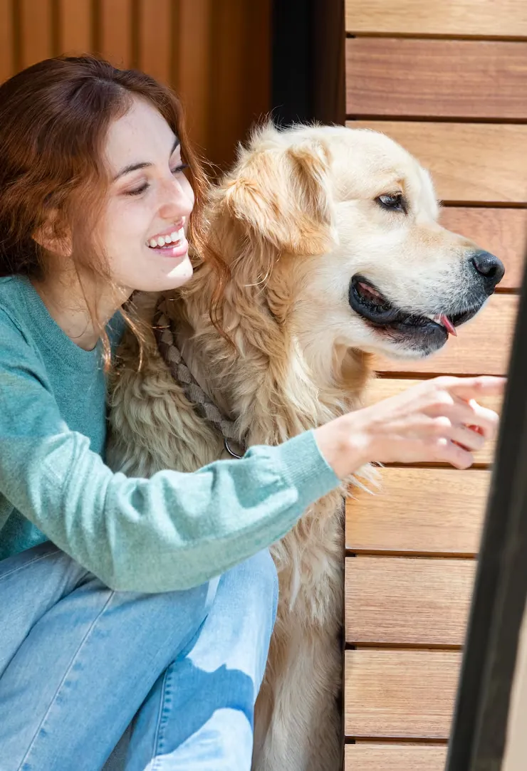 Pet Transport Services From the UK to Dallas ​