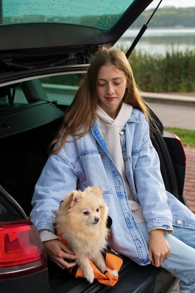 Pet Transport Services From the UK to Jordan
