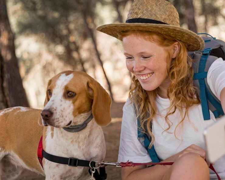 Pet Transport UK to Frankfurt Servicesy