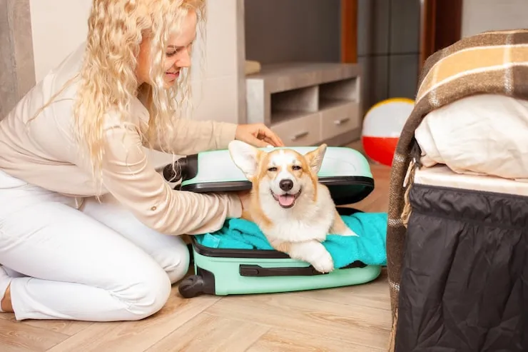 Pet Transport UK to Sydney Services