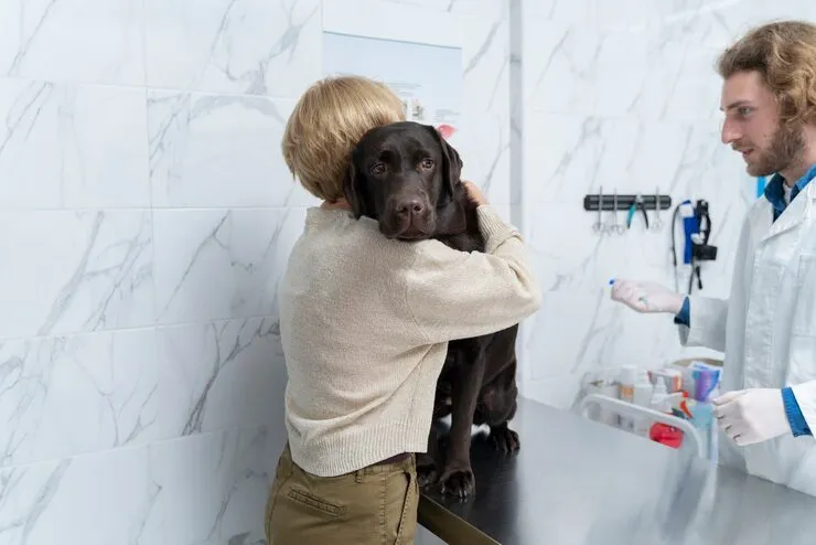 Pet Travel Crate Preparation and Fitting