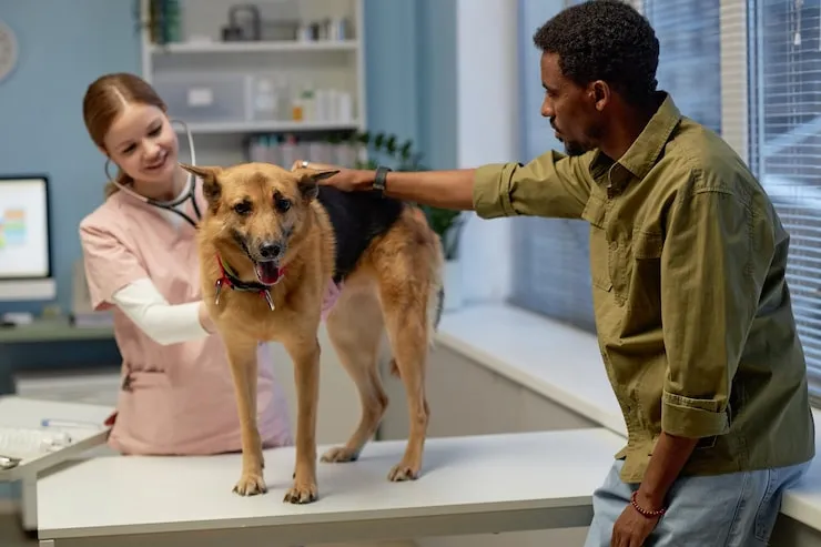 Pet Welfare Monitoring and Case Updates