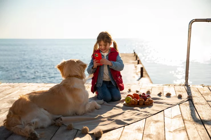 Port-to-Yacht Dog Transfer Coordination