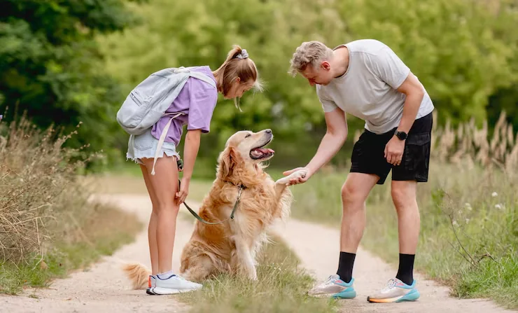 Post-Arrival Guidance and Settlement Support