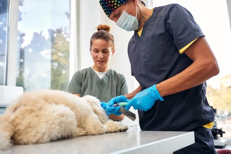 Post-Arrival Guidance and Settling Support