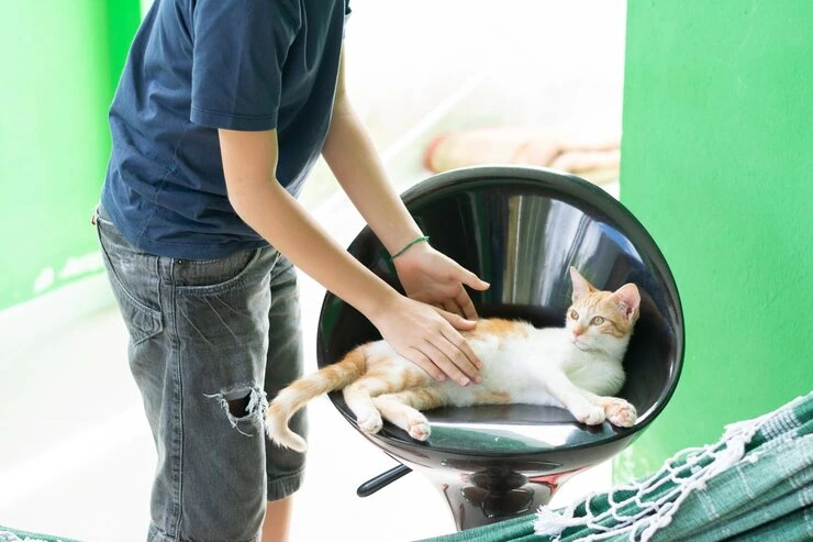 Post-Arrival Guidance and Support