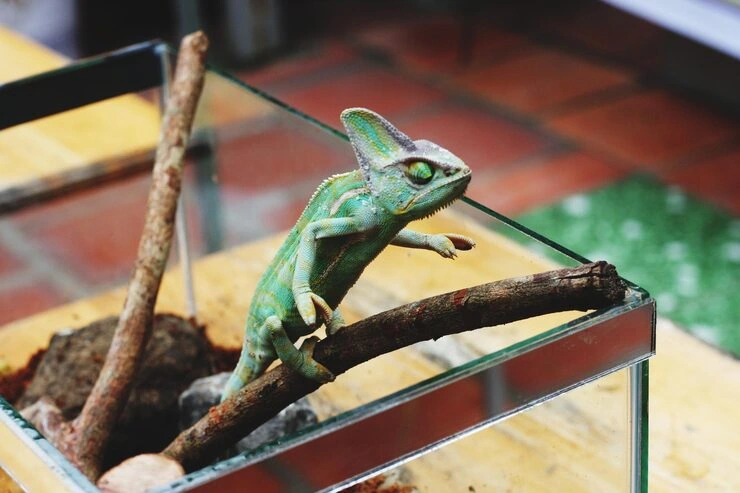 Post-Arrival Support and Guidance