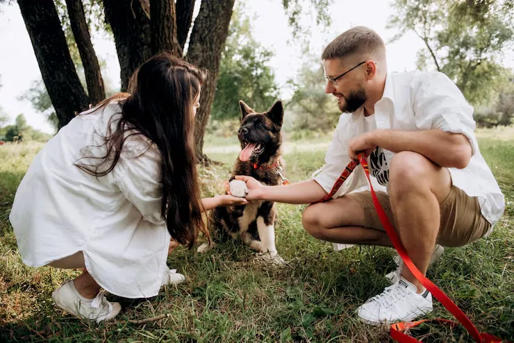 Pre-Departure Coordination and Checks