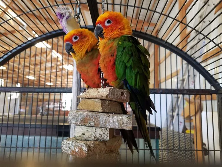 Pre-Export Planning and Route Assessment