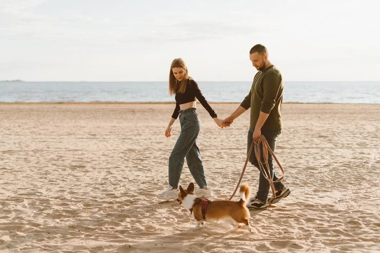 Pre-Relocation Assessment and Planning