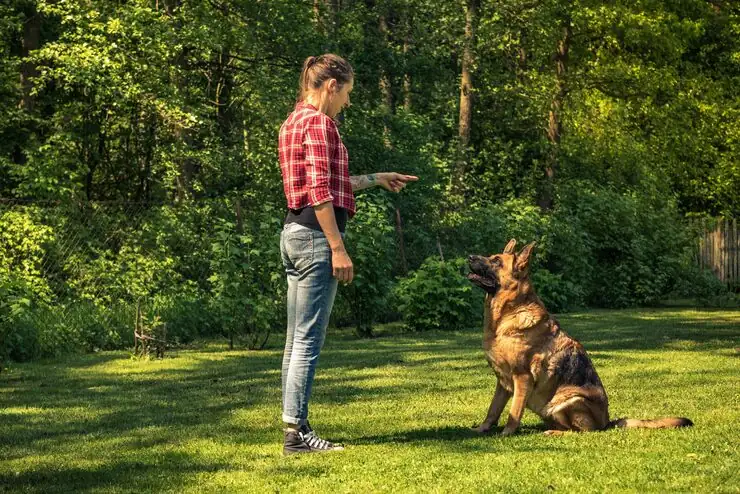 Pre-Relocation Assessment and Planning​