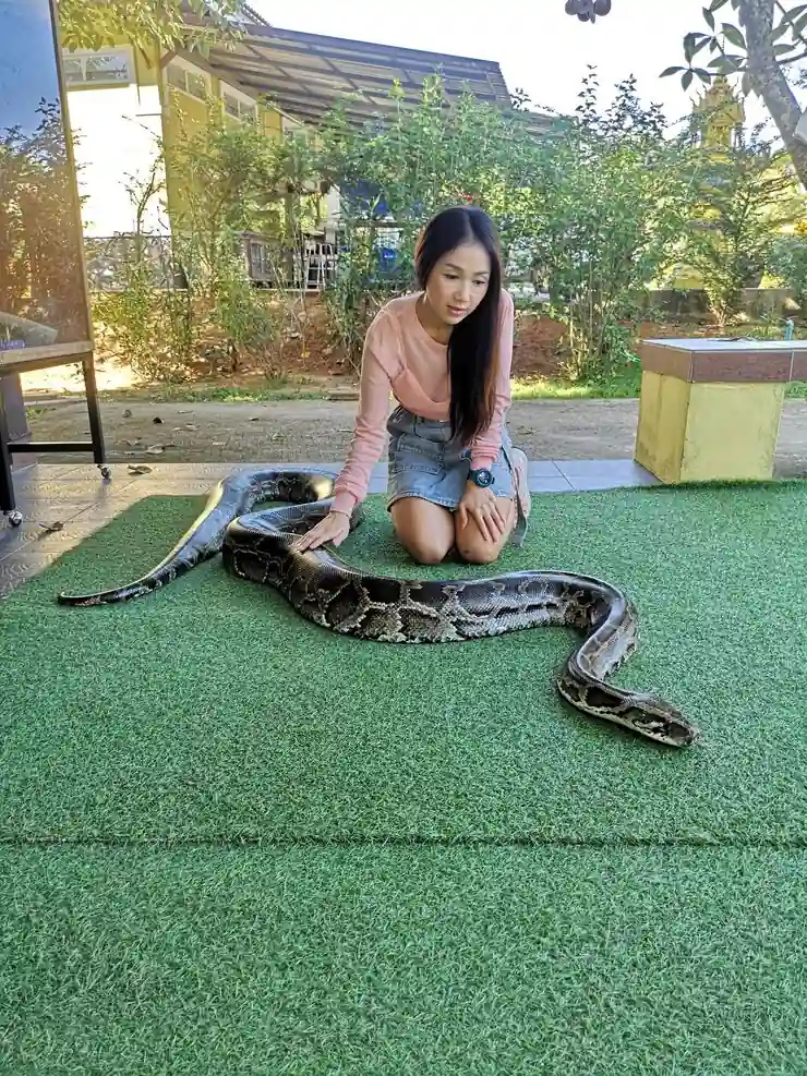 Pre-Transport Assessment and Eligibility Review