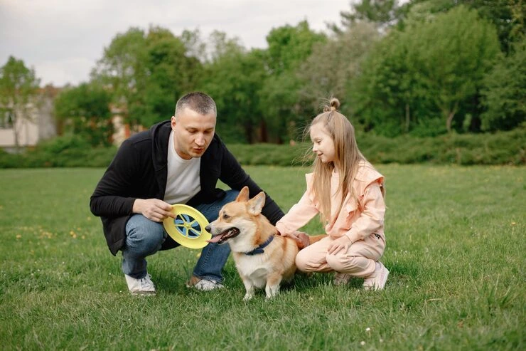 Pre-Travel Assessment and Route Planning​