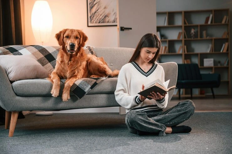 Pre-Travel Compliance Assessment​