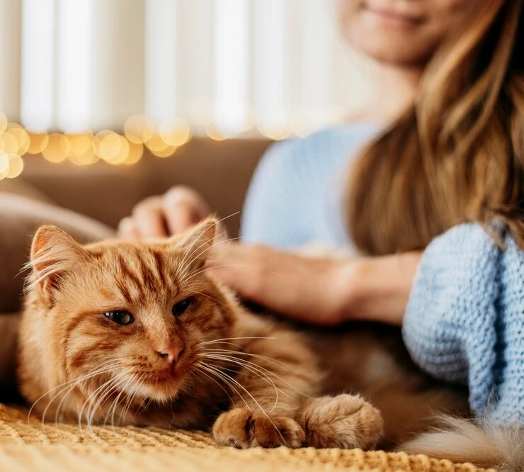 Quarantine Pre-Planning Where Required