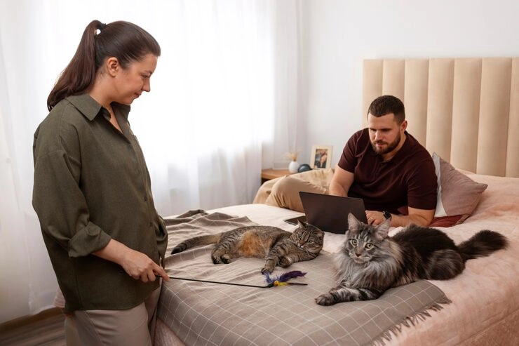 Quarantine and Border Entry Coordination