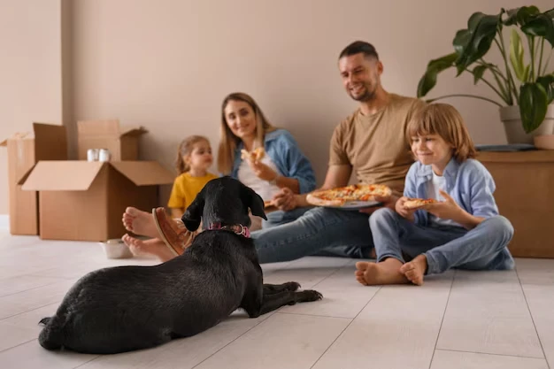 Relocation Planning for Multi-Pet Households