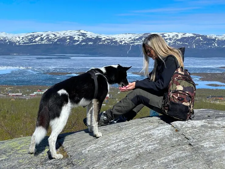 Senior Dog Transport Support