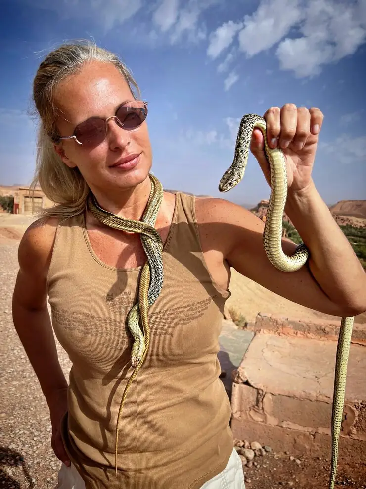 Snake Transport Services From the UK to Dubai