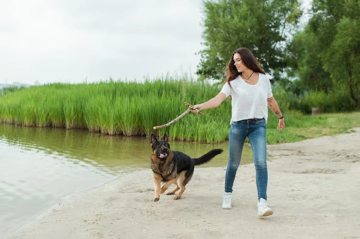 UK Export Compliance Review