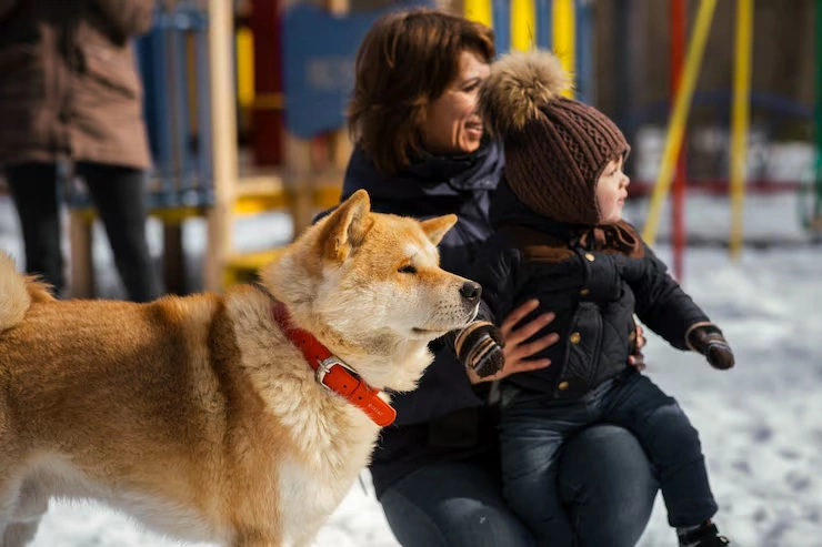 UK Export Documentation Management